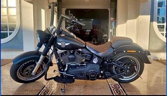 HARLEY-DAVIDSON SOFTAIL FAT BOY SPECIAL 